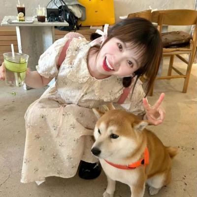 大梦归离